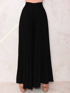Conjunto Calça Pantalona Plissada E Cropped Top Maitê Conjuntos Femininos